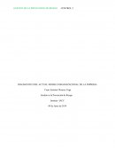 DIAGNOSTICO DEL ACTUAL MODELO ORGANIZACIONAL DE LA EMPRESA.