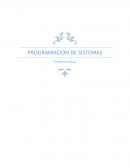PROGRAMACION DE SISTEMAS Programas Debug