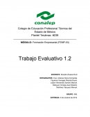 FODA Estado de México