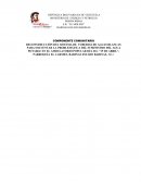 Prpyecto Tratamiento de Aguas Blancas