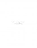 Planificación Estratégica Control (1) Administración Estratégica