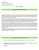 Fundamentos de Adiministración.