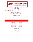 Proyecto de Mercadotecnia - El edredón almohada