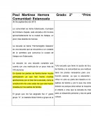 Registros Ampliados Licenciatura en educación Primaria