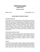 ANÁLISIS SOBRE LAS ÁREAS DE TRABAJO