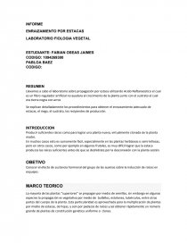 INFORME ENRAIZAMIENTO POR ESTACAS LABORATORIO FIOLOGIA VEGETAL. Página 1