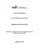Reseña sobnre la Reflexión y aplicación de las competencias de la Inteligencia Emocional