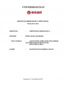 ENSAYO SOBRE QUÉ SE PUEDE/DEBE HACER PARA ELIMINAR LAS CONSECUENCIAS NEGATIVAS DEL CAPITALISMO GLOBAL