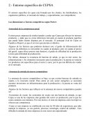 Entorno específico de CEPSA