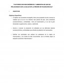 FACTORES SOCIOECONÓMICOS Y AMBIENTALES DE LA SALUD DE LA REGIÓN DE HUANCAVELICA