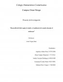Proyecto:Desarrollo del bebé según el estado y el ambiente de la madre durante el embarazo