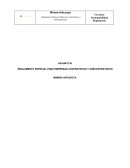 REGLAMENTO ESPECIAL PARA EMPRESAS CONTRATISTAS Y SUBCONTRATISTAS MINERA ANTUCOYA