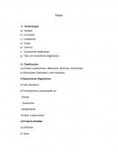 Definiciones y ejemplos de expresiones algebraicas