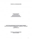 PROYECTO TEORIA DE LAS ORGANIZACIONES