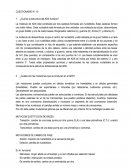 Bioquimica ¿Cuál es la estructura del ADN humano?