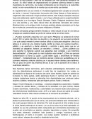 El Vegetarianismo como modo de vida