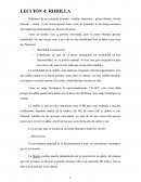Cóndilos femorales – glenas tibiales; tróclea femoral – rótula