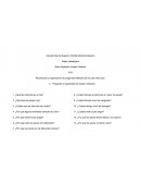 Recolección y organización de preguntas intereses de niños