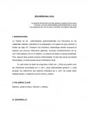 La bacteria Escherichia coli