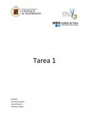 Análisis de entrevista. Teorías implícitas