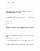 Discurso, cultura y sociedad.