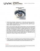 Actividad Integradora Principios de la persona