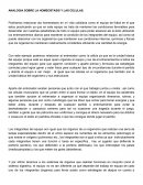 ANALOGIA SOBRE LA HOMEOSTASIS Y LAS CELULAS