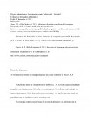 Muestra del organigrama actual de Canadá Industries de México, S. A.