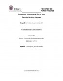 Actividad de Competencia Comunicativa