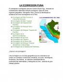 Ecorregion puna informes