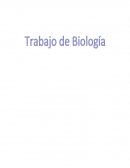 Biología Qué sucederá con las células hijas si la célula madre no duplica su ADN antes de dividirse?