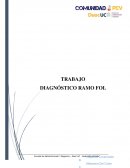 COMPETENCIAS PARA USO PLATAFORMA