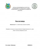 Plan de trabajo del instituto de salud chihuahuense