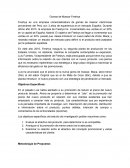 Gomas de Mascar Freshys