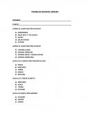 LA GRAN PRUEBA DE NUESTRO UNIVERSO 3 BASICO