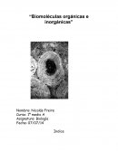 Biomoleculas organicas y inorgamicas