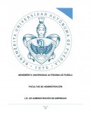 ANALISIS DEL COMPORTAMIENTO ORGANIZACIONAL