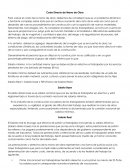 Factor de Salario Real resumen