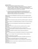 Laboratorio de Microeconomia