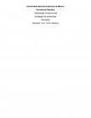 Facultad de Estudios “Aprendizaje Constructivista”