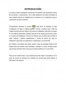 Aspectos más importantes acerca de las causas y consecuencias de la rabia