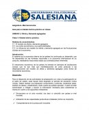 Dolarizacion Macroeconomía