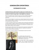 Como se da la Generación espontanea