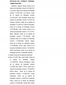 EJEMPLO DE ACTA CONSTITUTIVA Y ESTATUTOS SOCIALES DEL CONSEJO COMUNAL