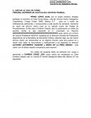 Presentacion de demanda