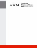 El nuevo Lanzamiento de un producto nuevo