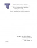 Ejemplo de La definimos como una serie de conceptos y principios que describen