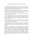 INFORME PRELIMINAR DE EVALUACIÓN INTERNA EN EL CENTRO DE TRABAJO