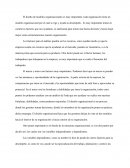 Ensayo de diseño de modelos organizacinales