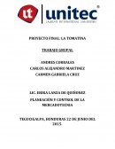 La Tomatina: Pleaneacion y Control de la Mercadotecnia